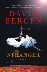 David Bergen’s tale of a stolen daughter