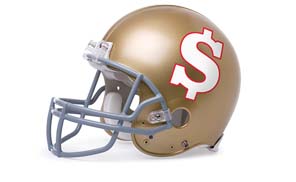  financial consultant