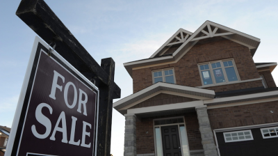 Talking points: Better cattle farming and a real estate warning