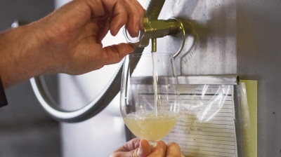 Merlot, sauvignon blanc among casualties of Ontario’s hard winter