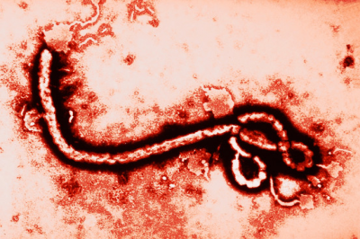 Experimental Medicine in a Time of Ebola