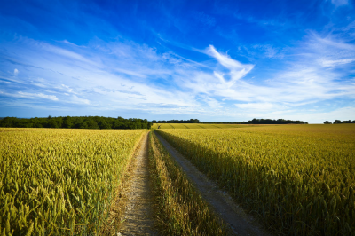 What to do with an inheritance