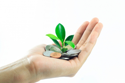 Low-risk investment ideas for retirees