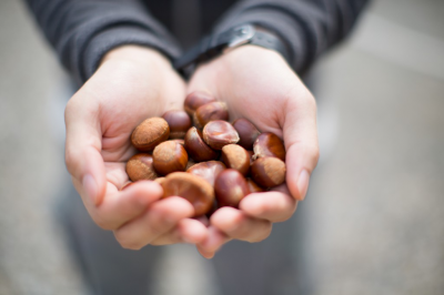The 7 chestnuts of personal finance