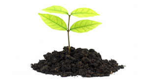 Boosting RRSP limits: Two views