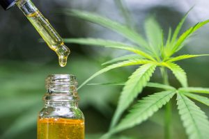 Investing in CBD — How to Do It & What to Consider