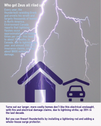  online insurance