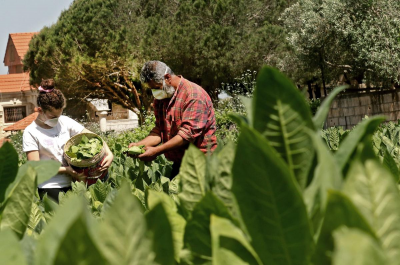 How sustainable is Wealthsimple’s new socially responsible portfolio?
