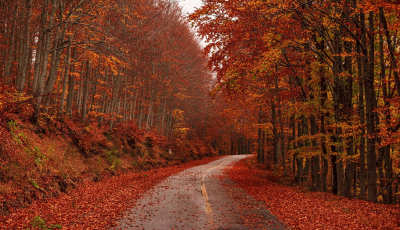 Podcast Episode 71 - The Fall Outlook Episode