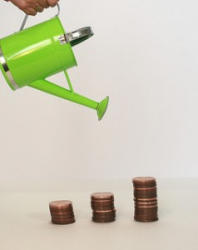  rrsp