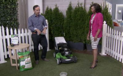 How to achieve the perfect lawn this summer