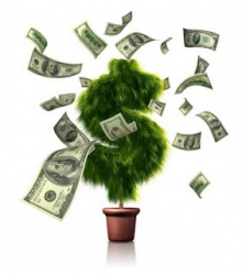  financial advisor